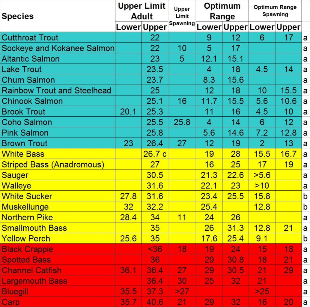 fishing water table