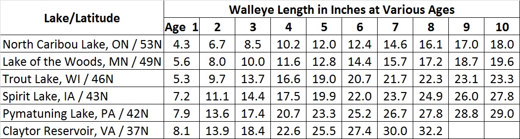Walleye Conversion Chart