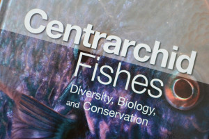 centrarchid fishes