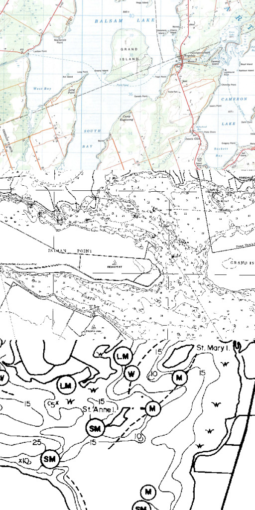 Topographical, hydrographic and fishing maps for Balsam Lake