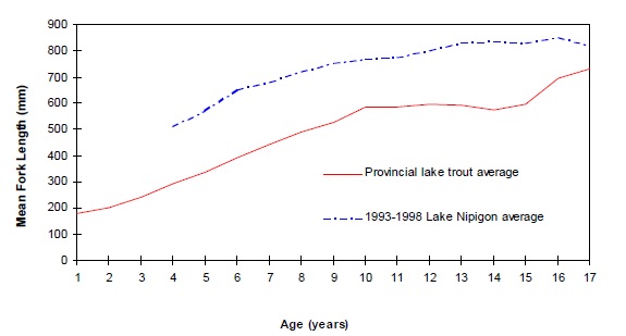 Lake trout size vs age for the province of Ontario (average) and Lake Nipigon.