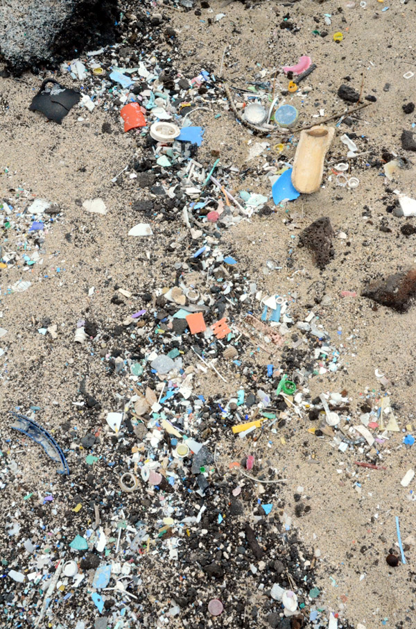 A massive amount of plastic fragments and microplastics (Kamilo Beach, Hawaii, Hawaii)